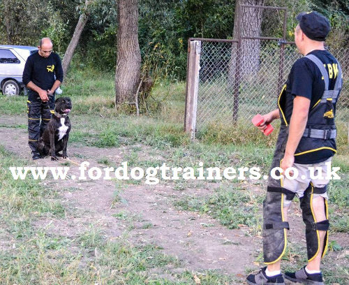 Schutzhund Dog Training Supplies